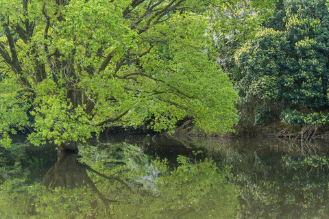 ご縁と感謝を込めて