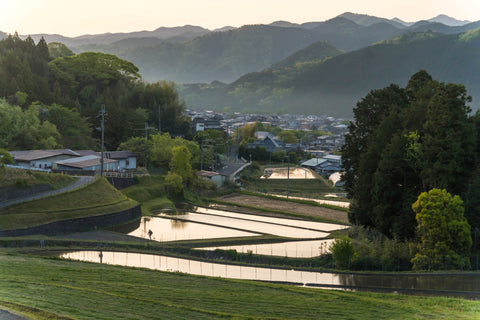 Cultivating a culture of fragrance from Nara and Uda.